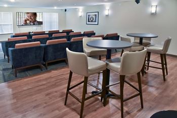Two theater rooms